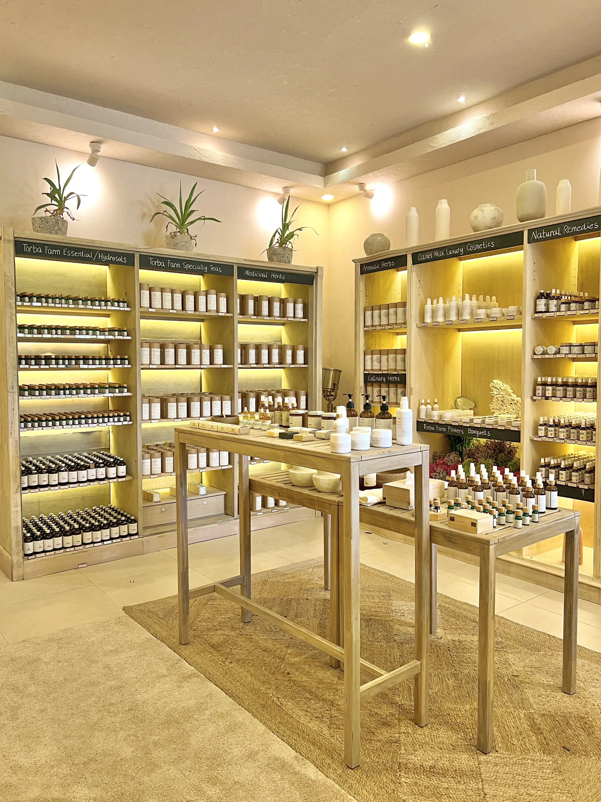 Torba-organic-kale-salad